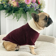 Burgandy and Cream Cord - Dog Skivvy