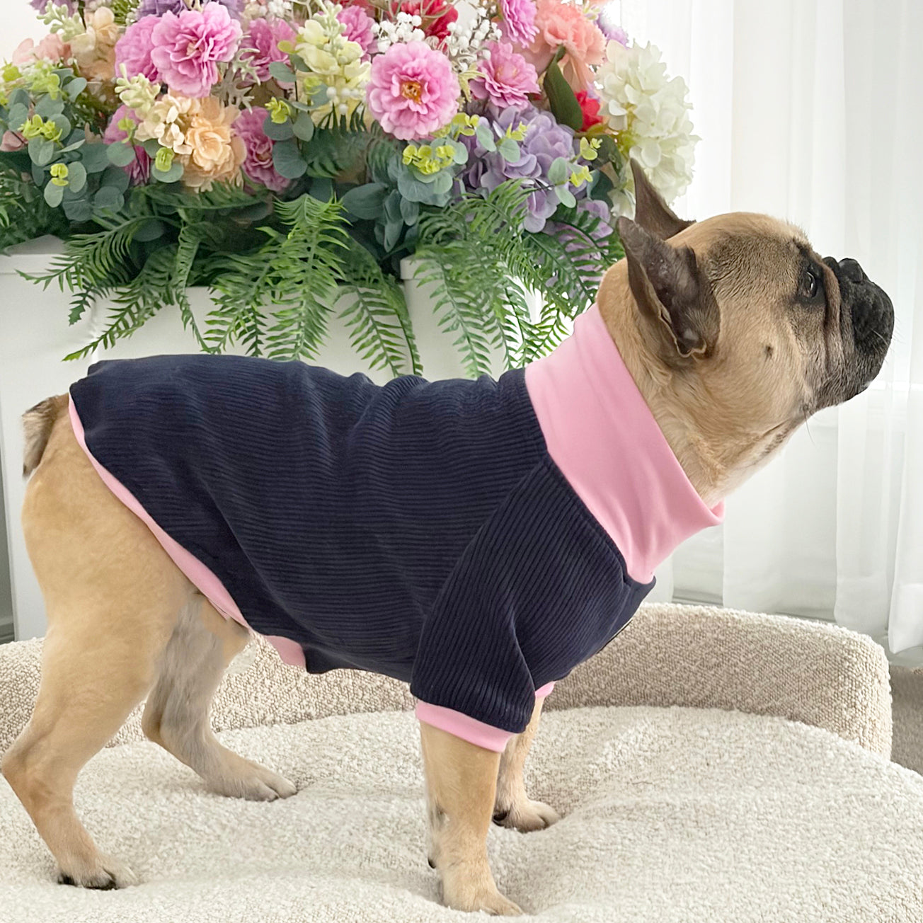 Navy Cord and Pink - Dog Skivvy