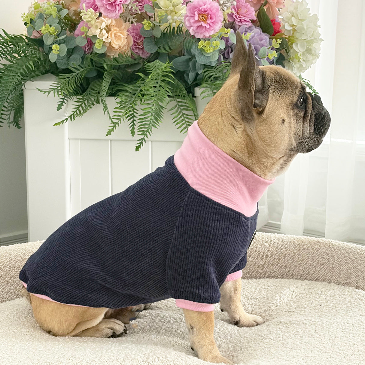 Navy Cord and Pink - Dog Skivvy