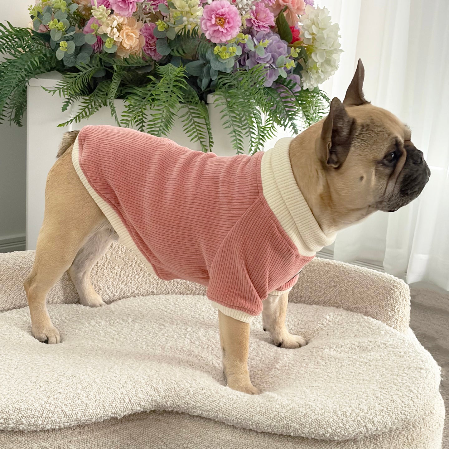 Dusty Rose and Cream Cord - Dog Skivvy