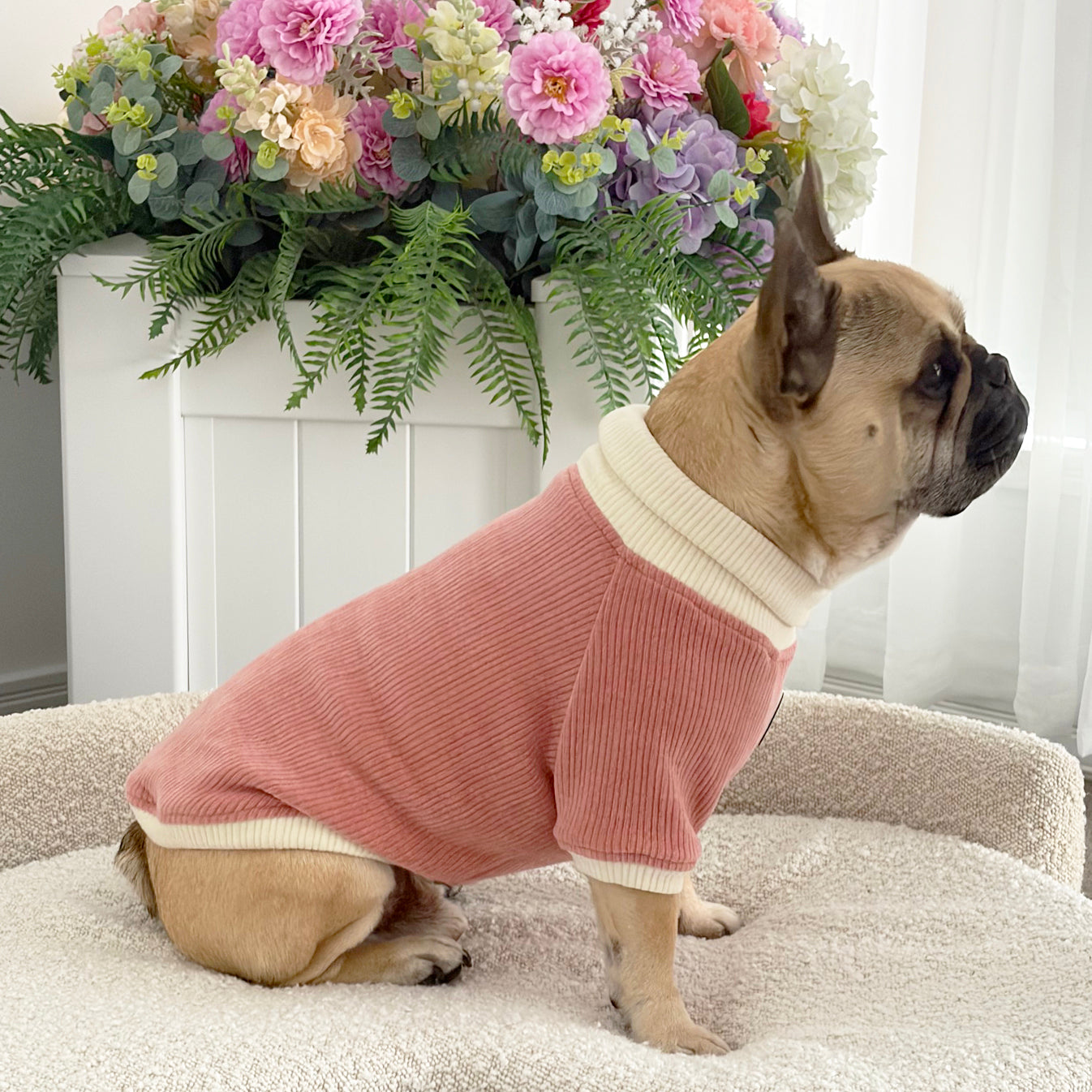 Dusty Rose and Cream Cord - Dog Skivvy