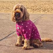 Burgandy with Pink Spots - Dog Skivvy