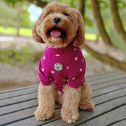 Burgandy with Pink Spots - Dog Skivvy