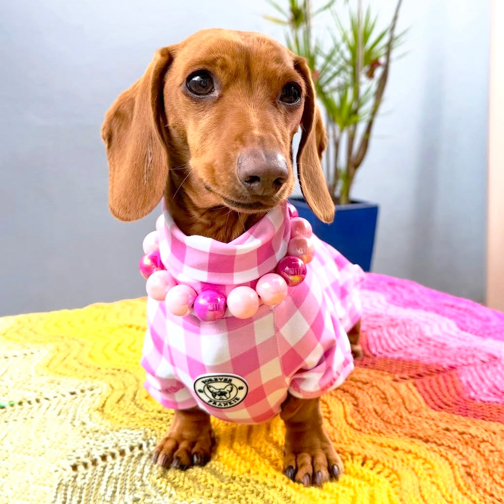 Pink Springtime Check - Dog Skivvy