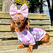 Candy Stripe pink & white  Dog Skivvy