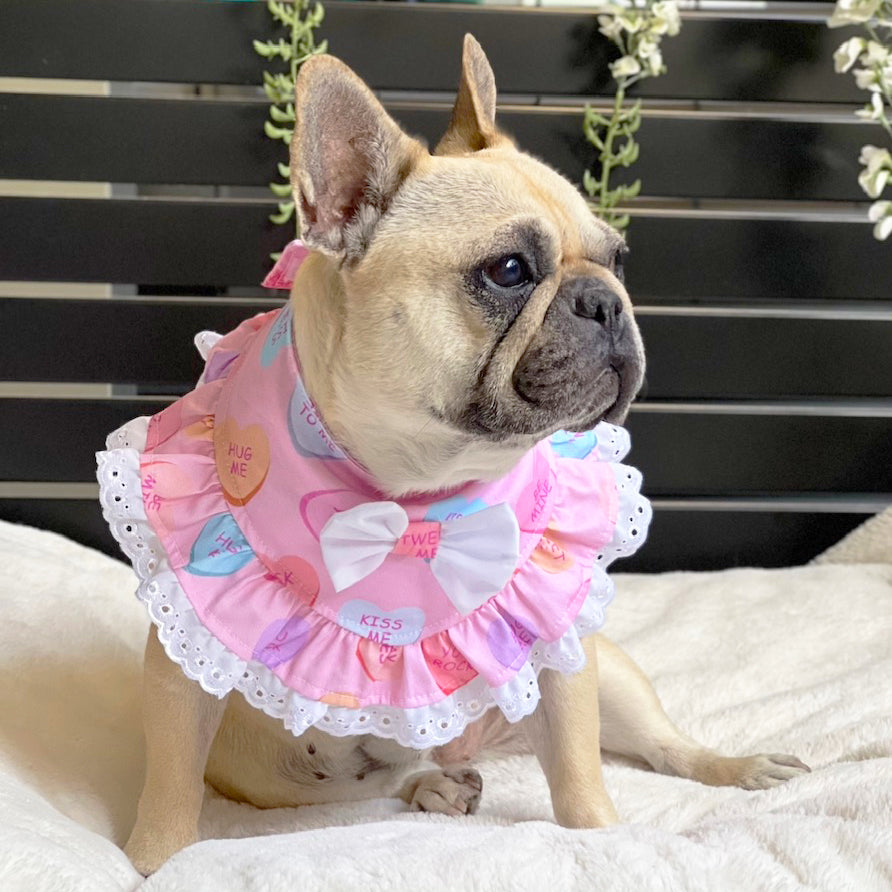 Love Pup Bandana with matching Head Bow Set!-LARGE
