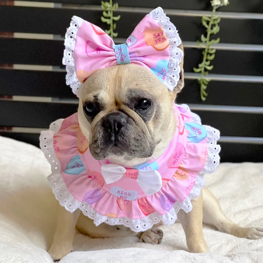 Love Pup Bandana with matching Head Bow Set!-LARGE