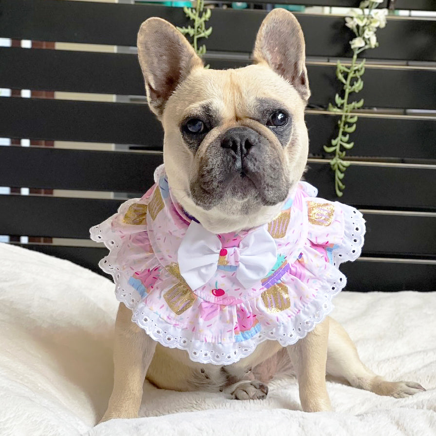 Pupcake Princess Bandana-LARGE