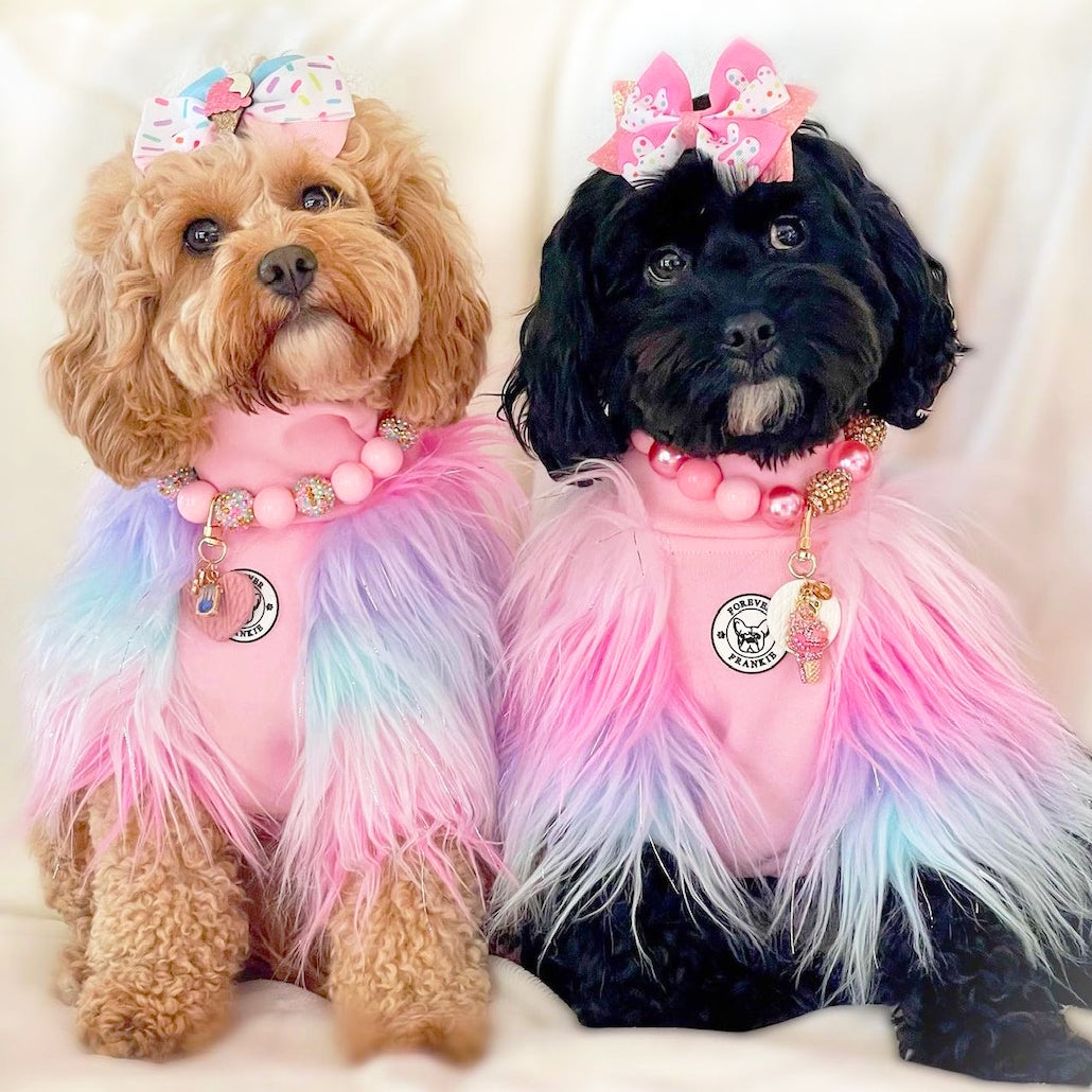 LUXE - Unicorn Rainbow- Dog Skivvie (Limited Edition)