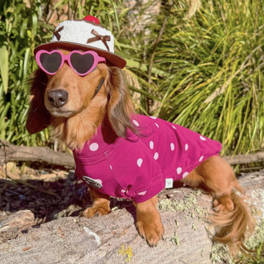 Burgandy with Pink Spots - Dog Skivvy