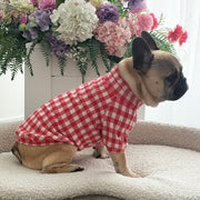 Ruby Check Dog Skivvy (Limited Edition)