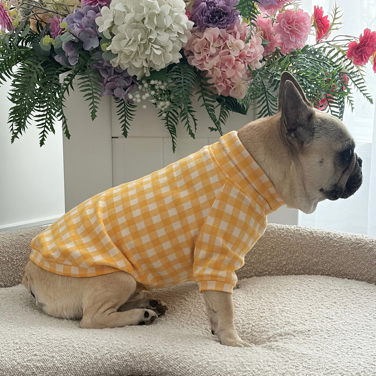 Sunshine Check Dog Skivvy (Limited Edition)