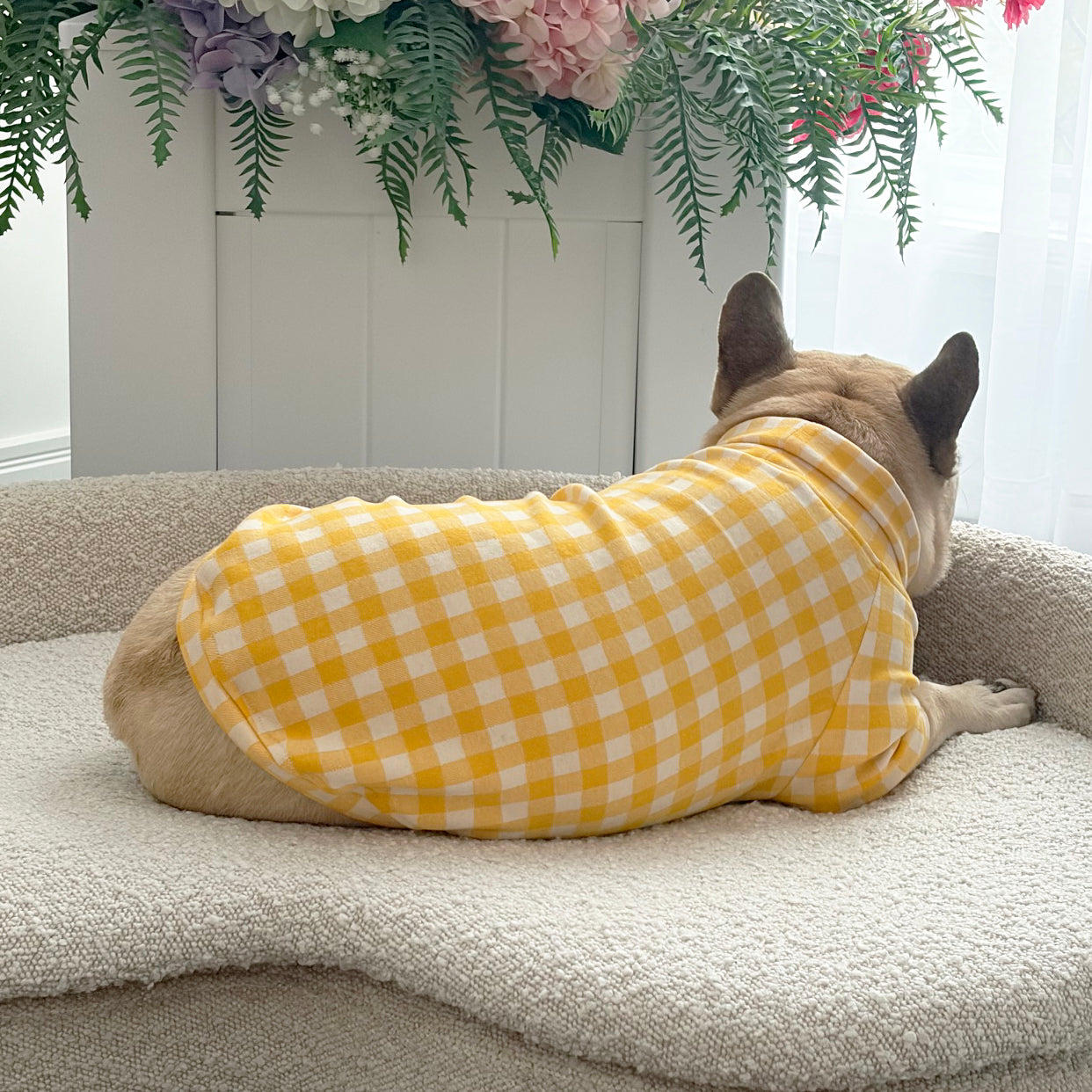 Sunshine Check Dog Skivvy (Limited Edition)
