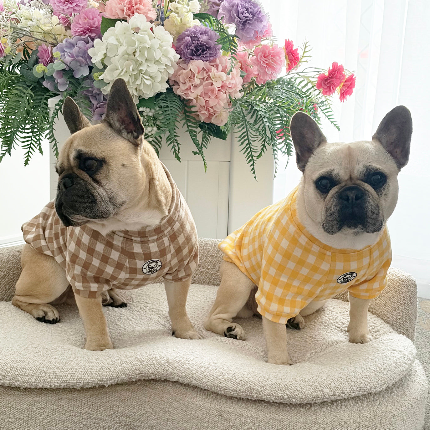 Sunshine Check Dog Skivvy (Limited Edition)