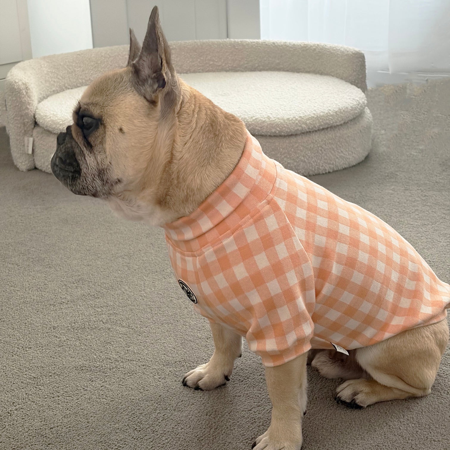 Tangerine Check Dog Skivvy (Limited Edition)