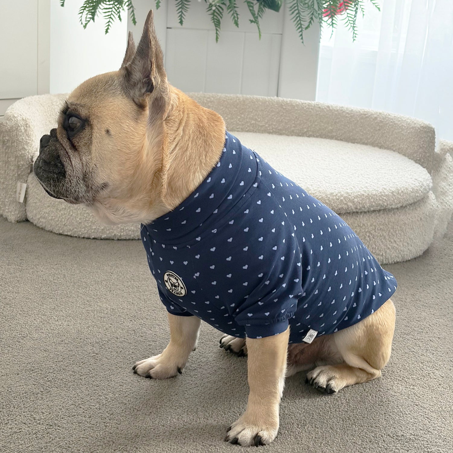 Navy with Sky Blue Mini Hearts - Dog Skivvy
