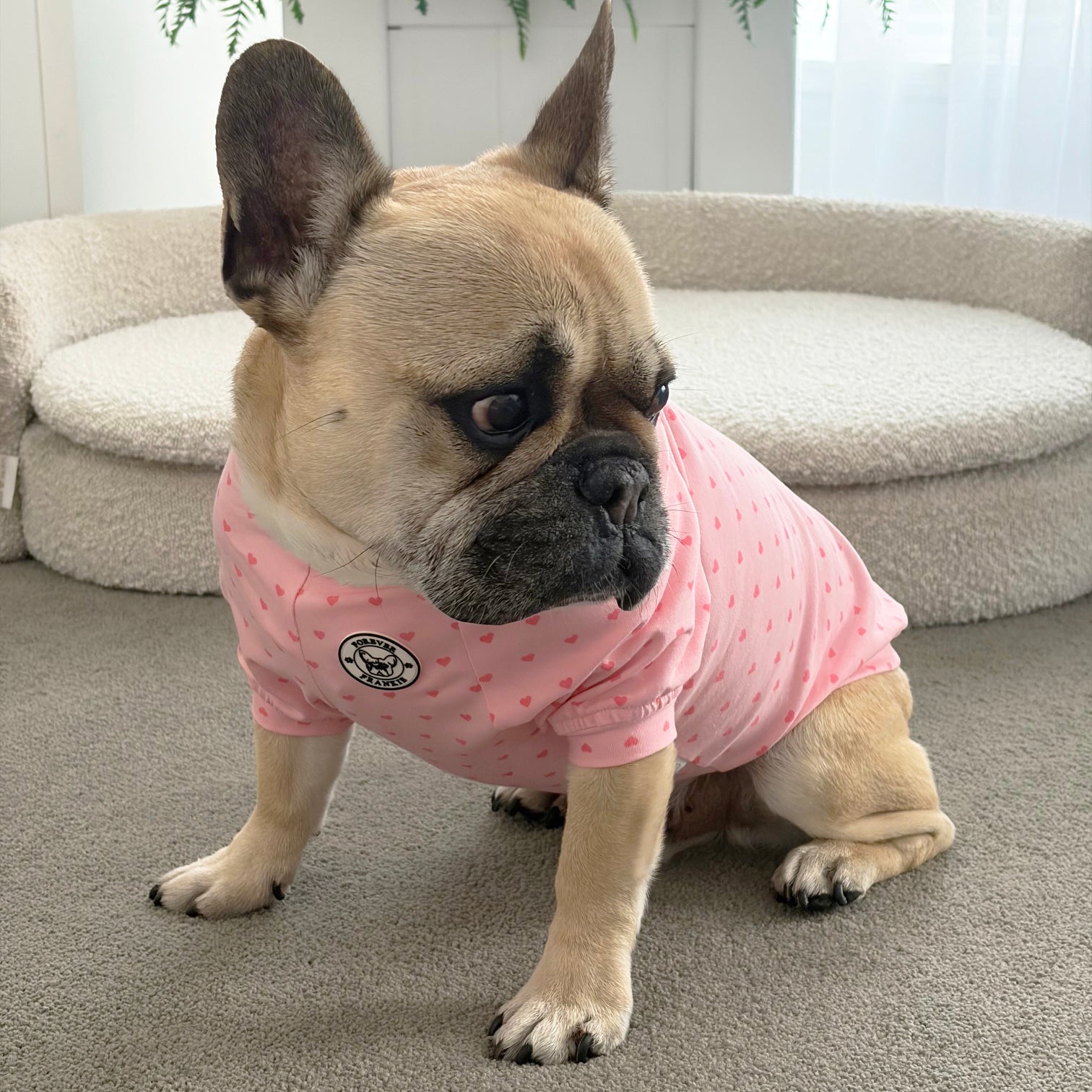 Pink with Pink Mini Hearts - Dog Skivvy