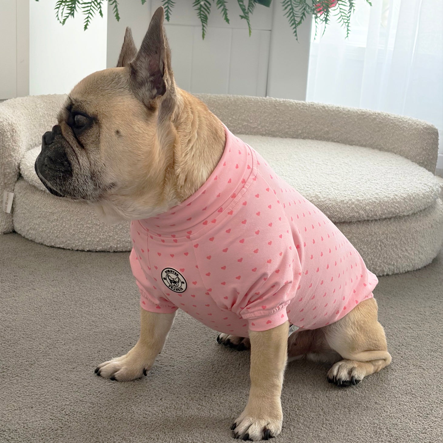 Pink with Pink Mini Hearts - Dog Skivvy