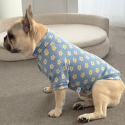 Light Blue with Daisy's - Dog Skivvy