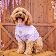Lilac with Lavender Mini Hearts - Dog Skivvy