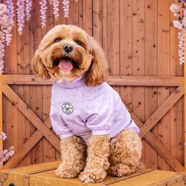 Lilac with Lavender Mini Hearts - Dog Skivvy