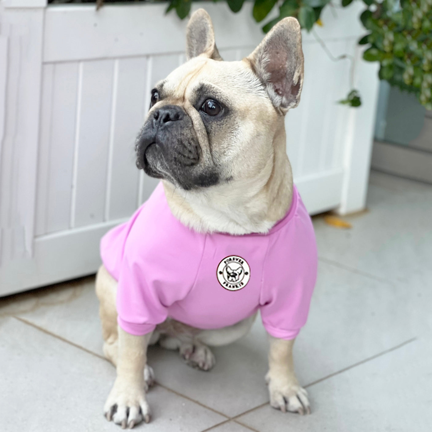 Bubble Gum Blush - Sun & Sand Rashie UV 50+