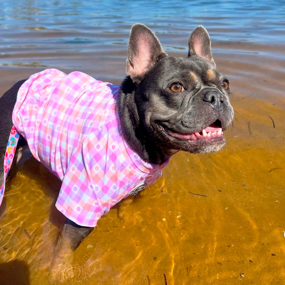 Gingham Explosion- Sun & Sand Rashie UV 50+