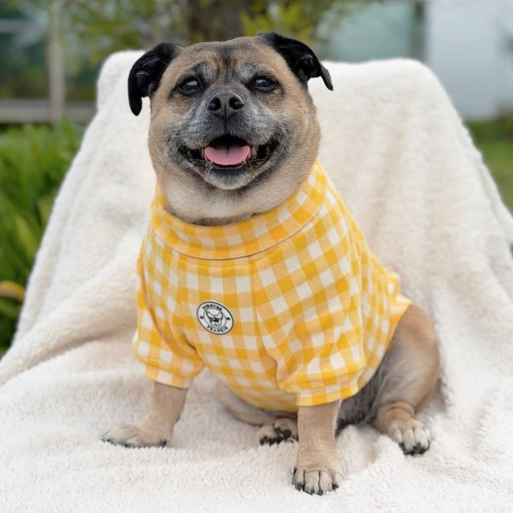 Sunshine Check Dog Skivvy (Limited Edition)
