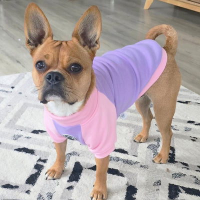 Lavender & Pink Sorbet Dog Skivvie