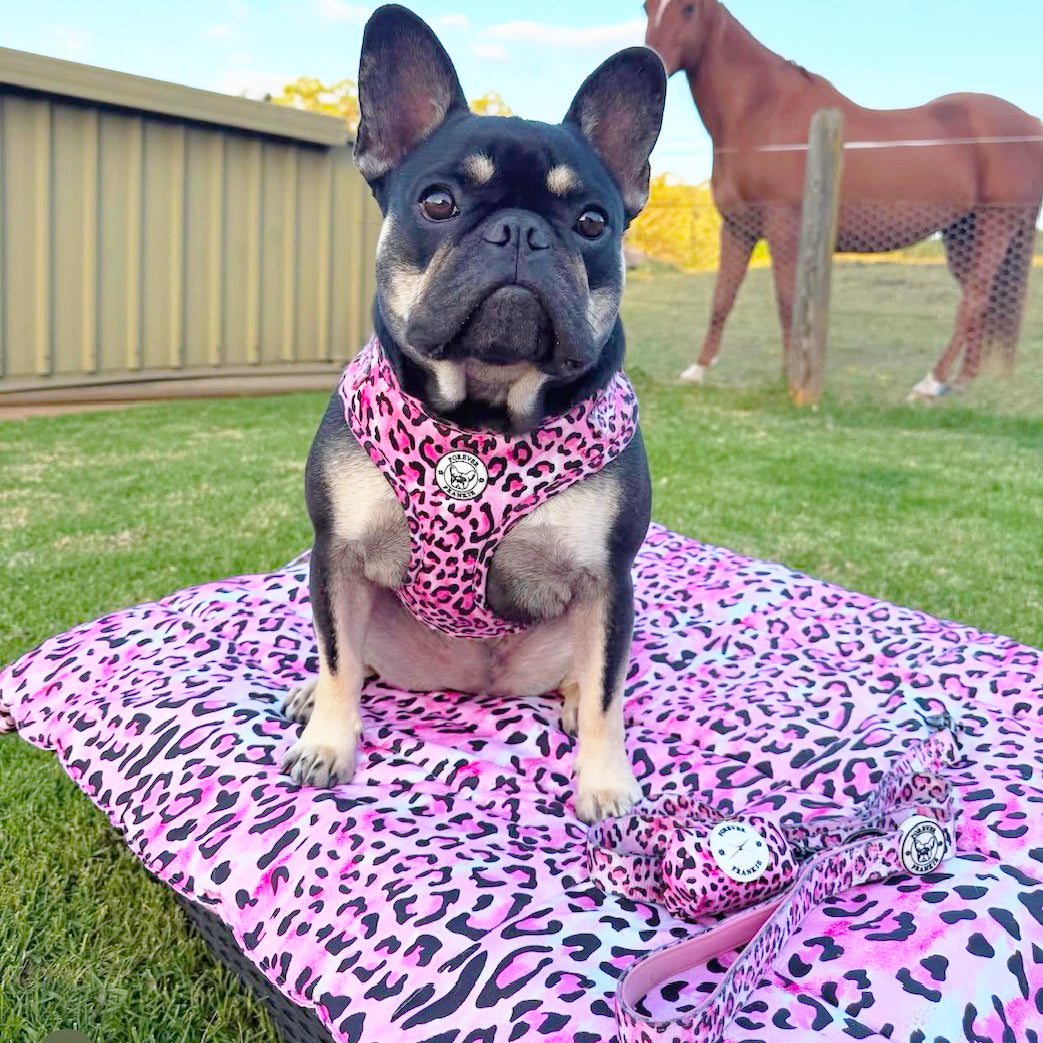Pink Leopard - Adjustable Harness