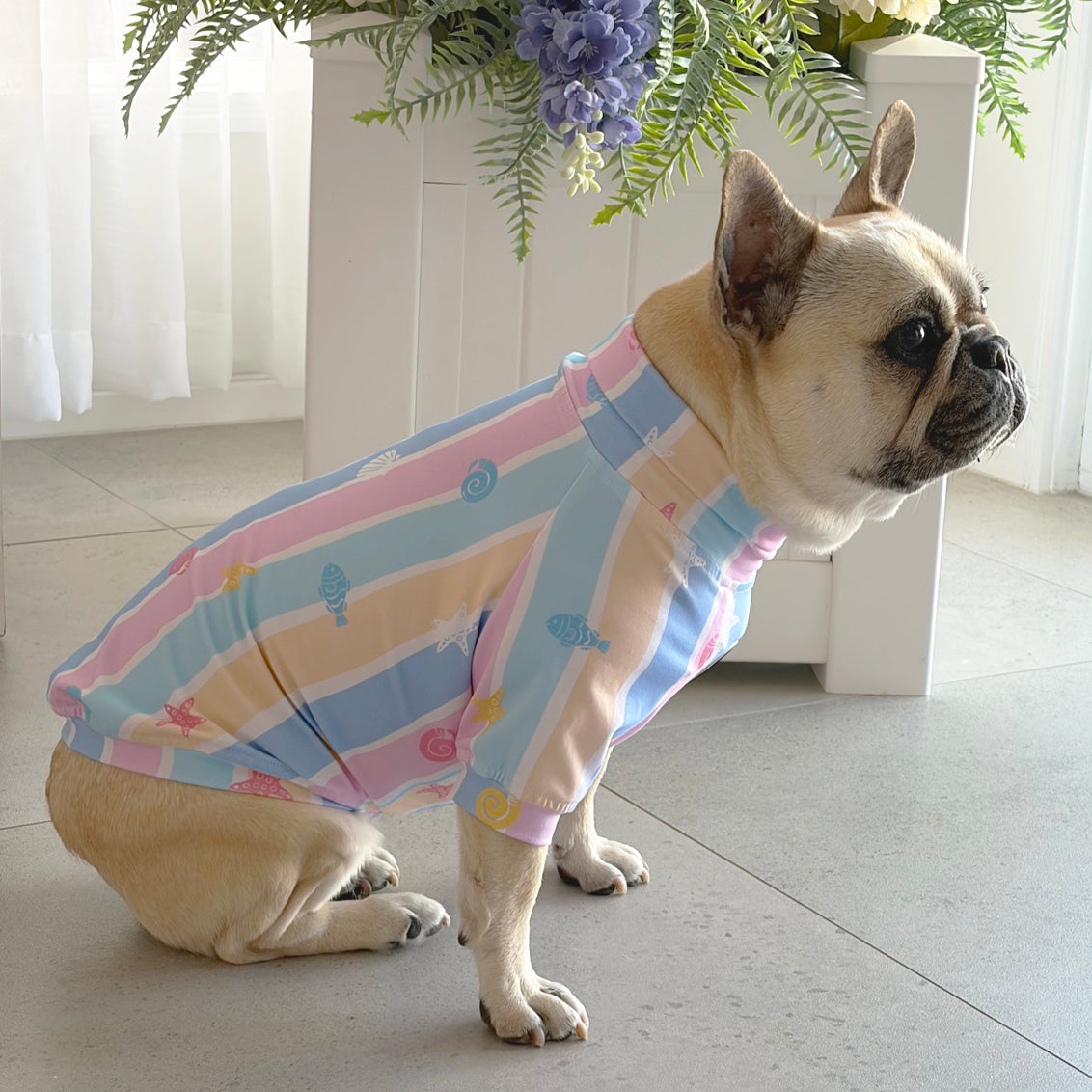 Seashell Stripe - Dog Skivvy