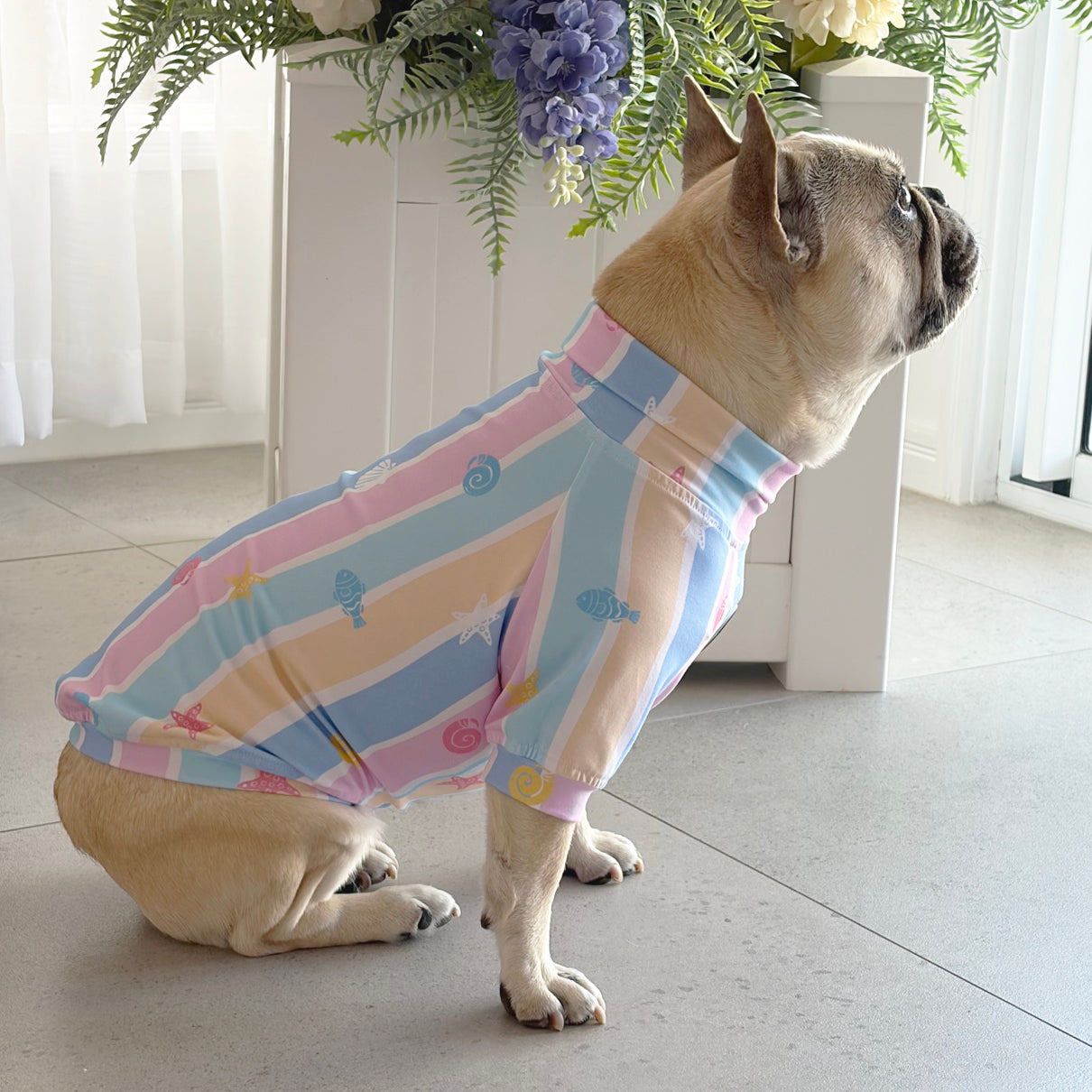 Seashell Stripe - Dog Skivvy