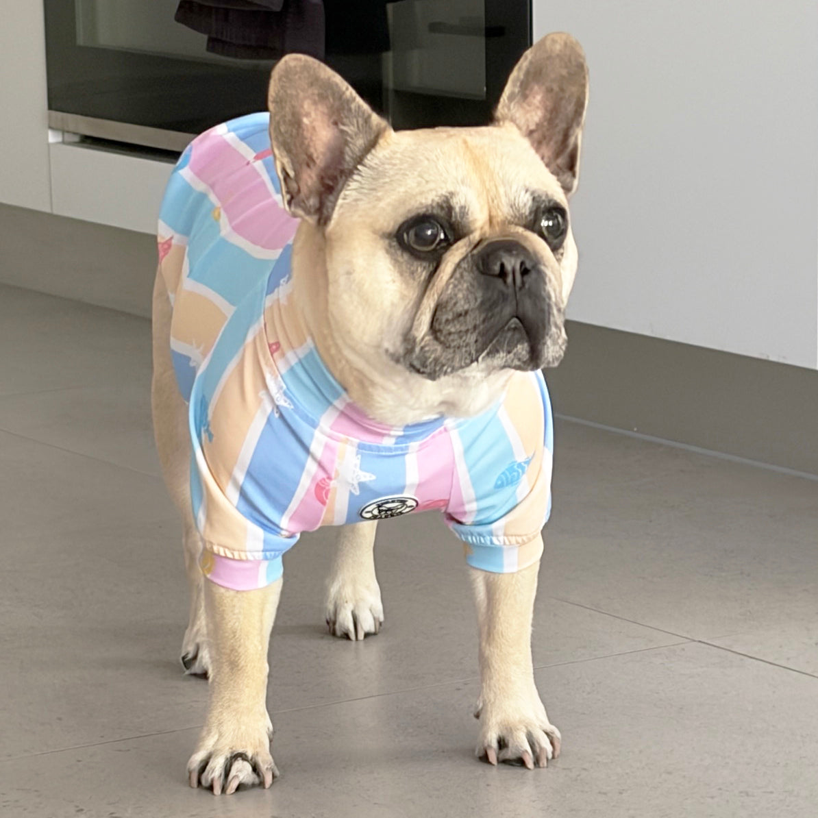 Seashell Stripe - Dog Skivvy