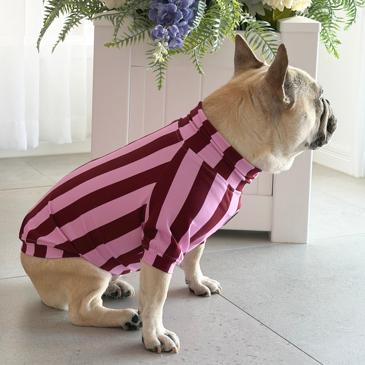 Raspberry Ripple - Dog Skivvy