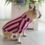Raspberry Ripple - Dog Skivvy