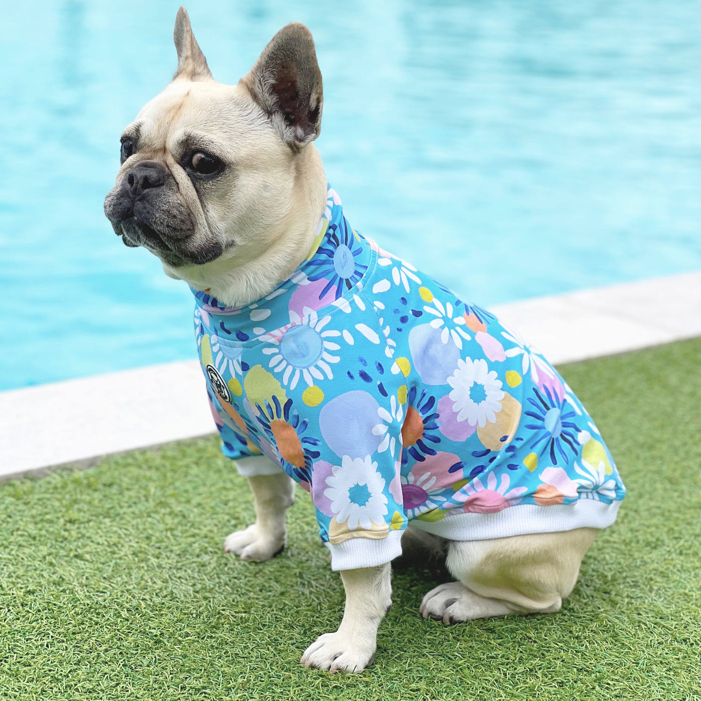 Summer Beaches Dog Skivvie (Limited Edition)