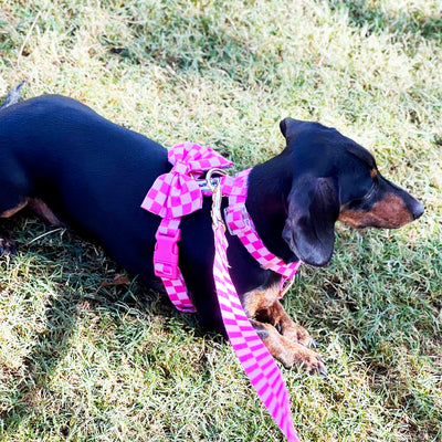 Pink Lemonade Check - Luxe Strap Harness