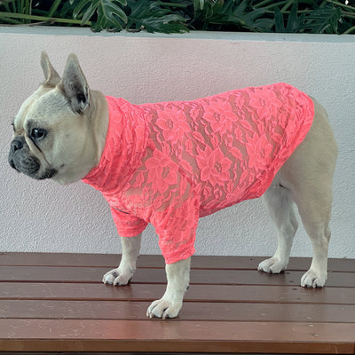 Coral Lace - Luxe Dog Skivvy