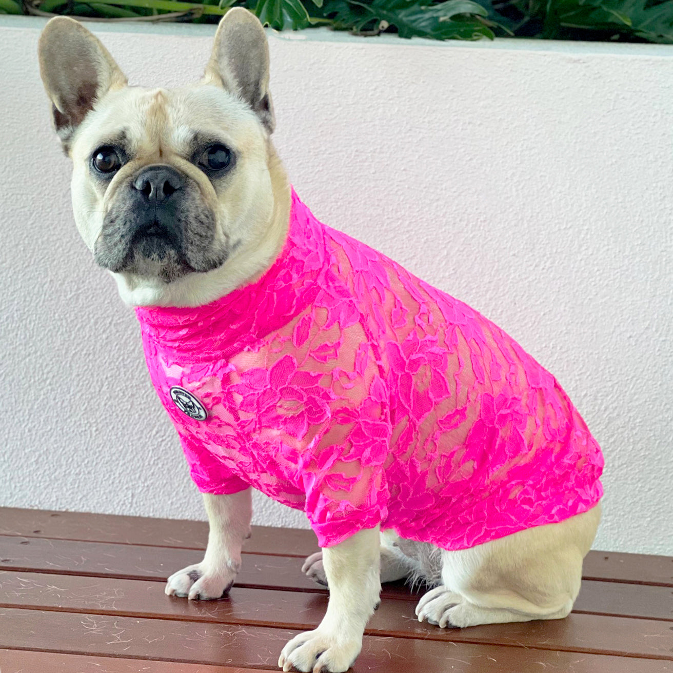 Hot Pink Lace - Luxe Dog Skivvy