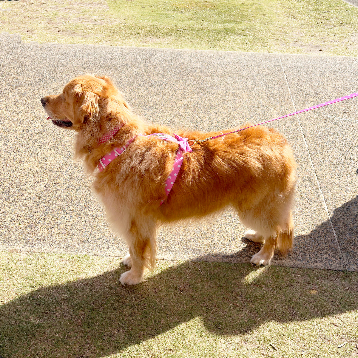 Pink Polka Dot - Luxe Strap Harness