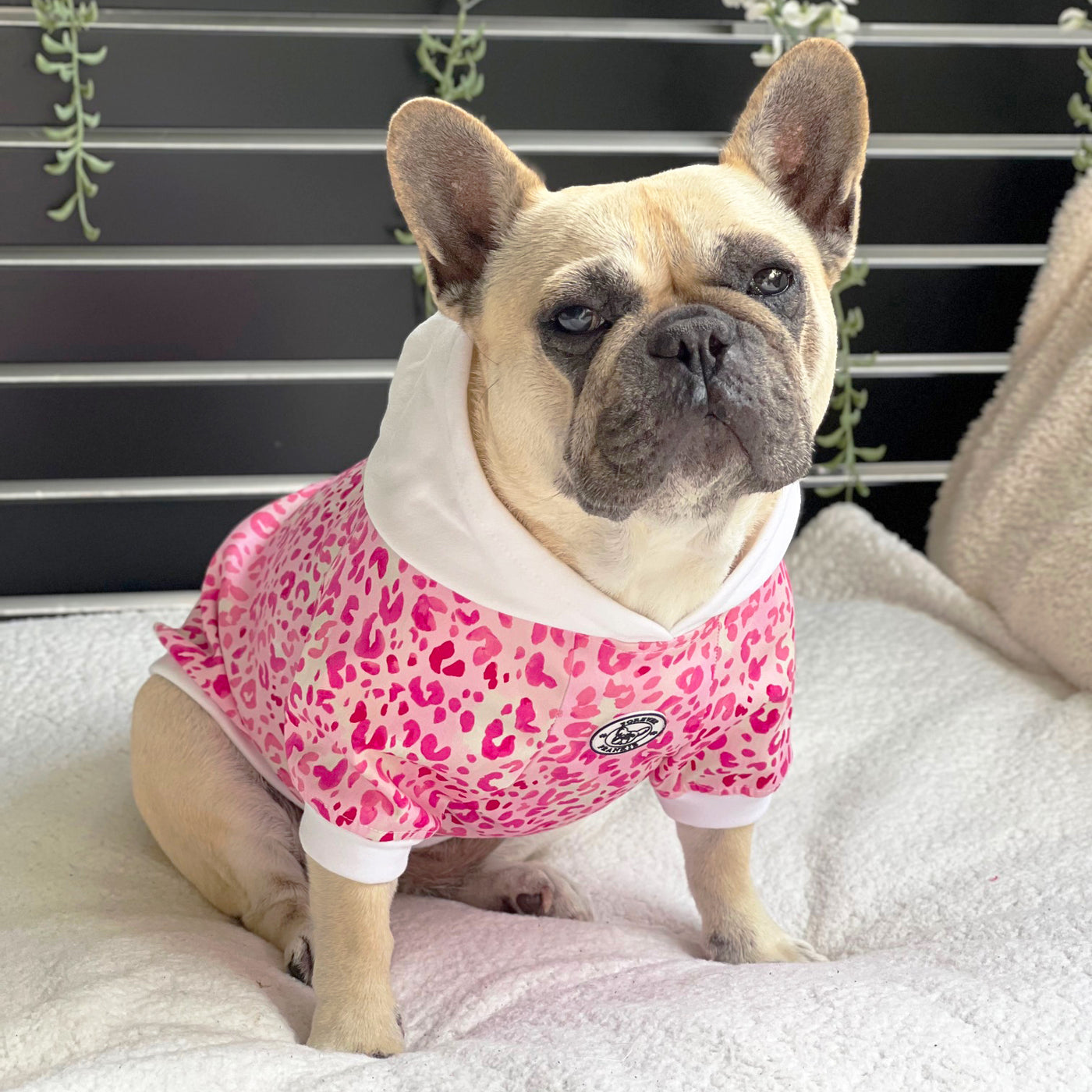 Leopard Lush Dog Hoodie/Dog Skivvy