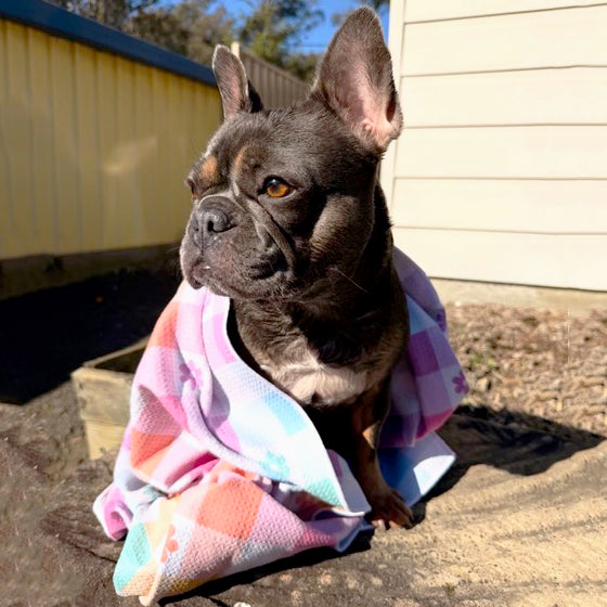 Luxe Gingham Wonderland - Human Beach & Bath Towel