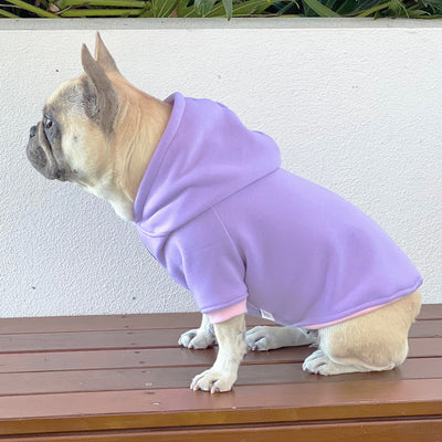 Amethyst Kiss Dog Hoodie/Dog Skivvy