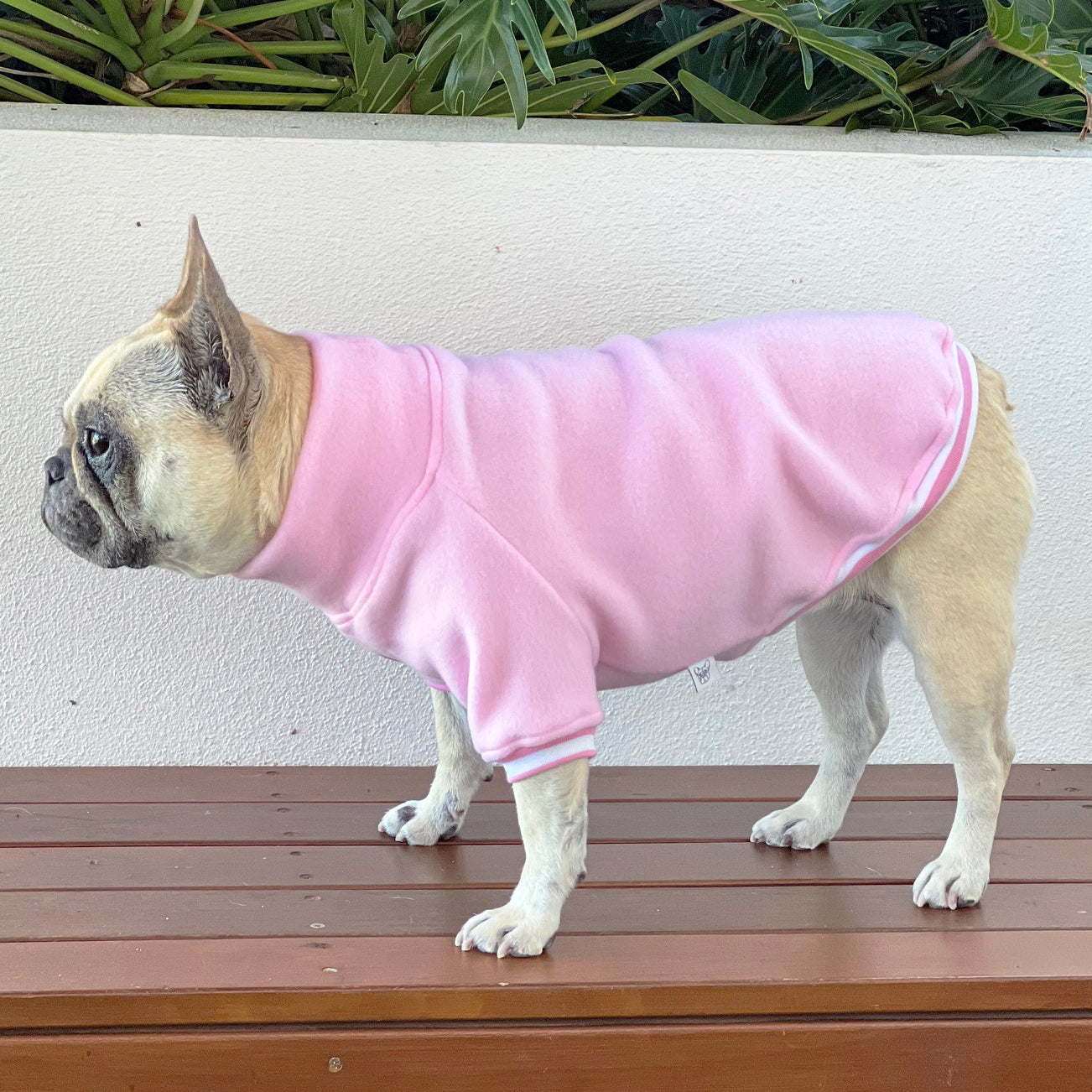 Strawberry Milk Dog Skivvy