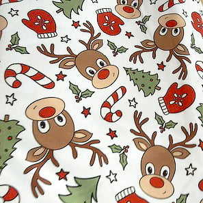Dasher & Friends Skivvy - Christmas Dog Skivvy (Limited Edition)