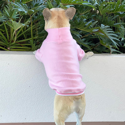 Strawberry Milk Dog Skivvy