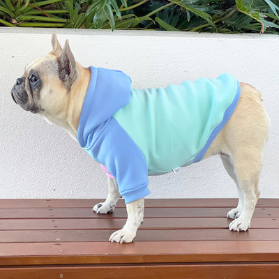 Colour Me Cozy Dog Hoodie/Dog Skivvy