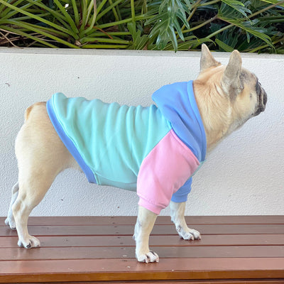 Colour Me Cozy Dog Hoodie/Dog Skivvy