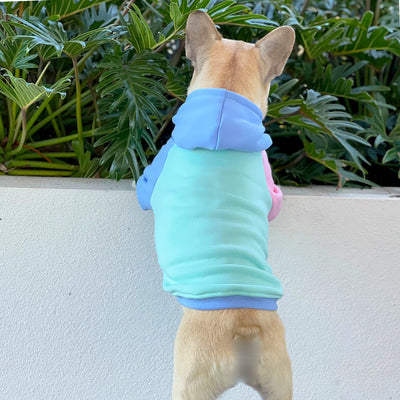 Colour Me Cozy Dog Hoodie/Dog Skivvy