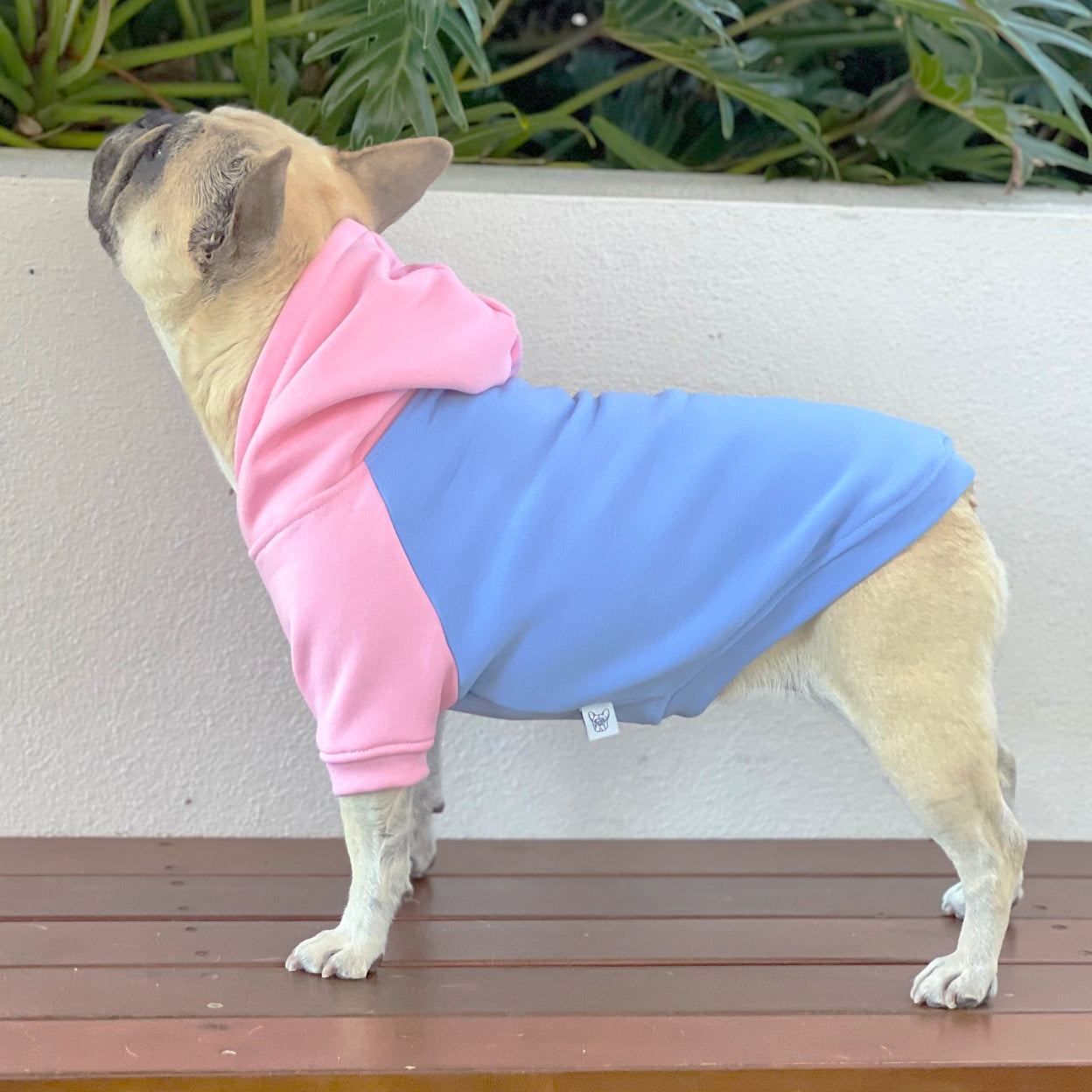 Blush & Breeze Dog Hoodie/Dog Skivvy